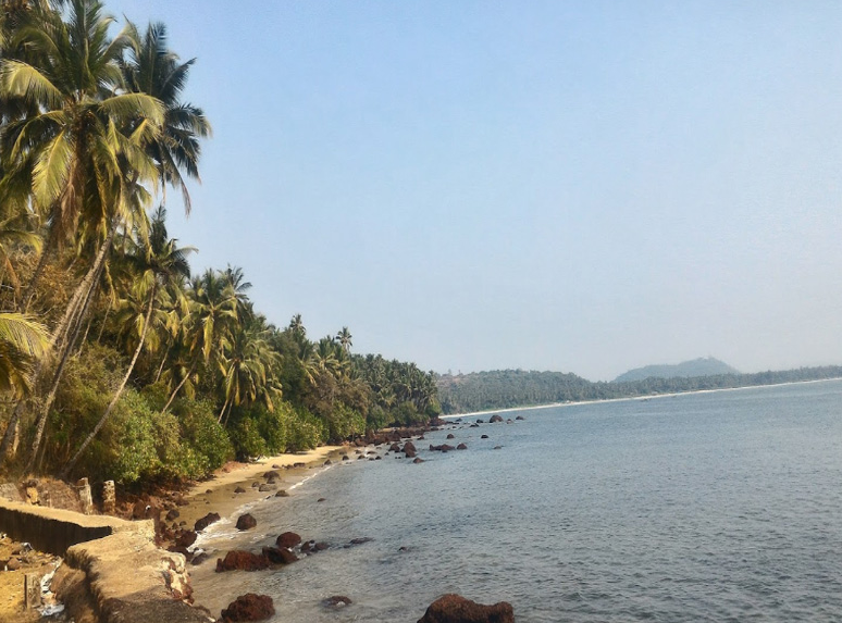Hollant Beach, South Goa, Goa - Vushii.com Hollant Beach, South Goa, Goa - Vushii.com